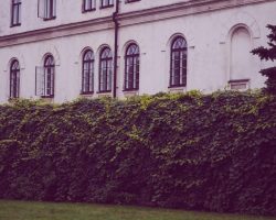 pexels-dom-j-227388 (1)