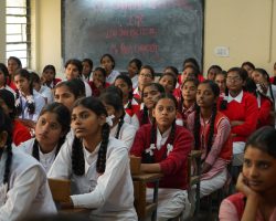 pexels-yogendra-singh-3231359